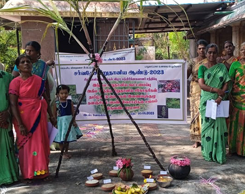 Launch of International Year of Millet 2023