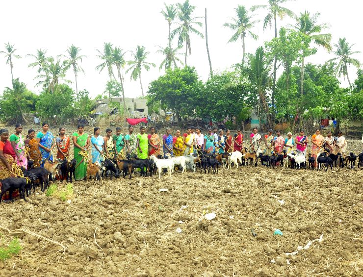 Livelihood
