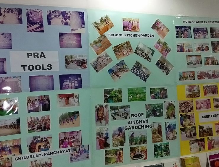 Swallows Partners Meetings